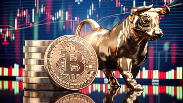 Metaplanet's Bold Bitcoin Bet Amid Revenue Dip